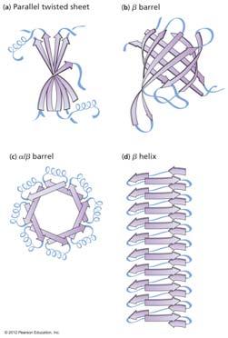 structure across many proteins Binding pockets