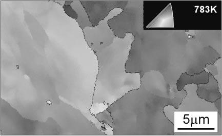 In-Situ SEM/EBSD Observation of = Phase Transformation in Fe-Ni Alloy 2771 Ar atmosphere. The sample was annealed at 1473 K for 24 h to achieve a homogeneous composition.