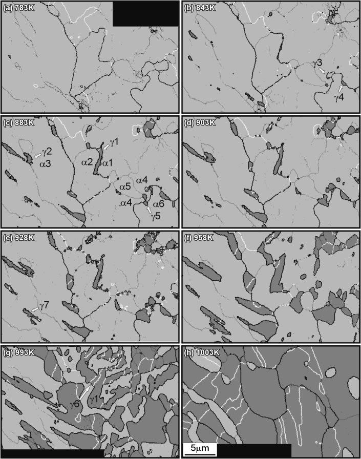 2772 T. Fukino and S. Tsurekawa Fig. 2 Snapshots showing transient microstructure during to phase transformation in the Fe-9.5 at% Ni alloy.