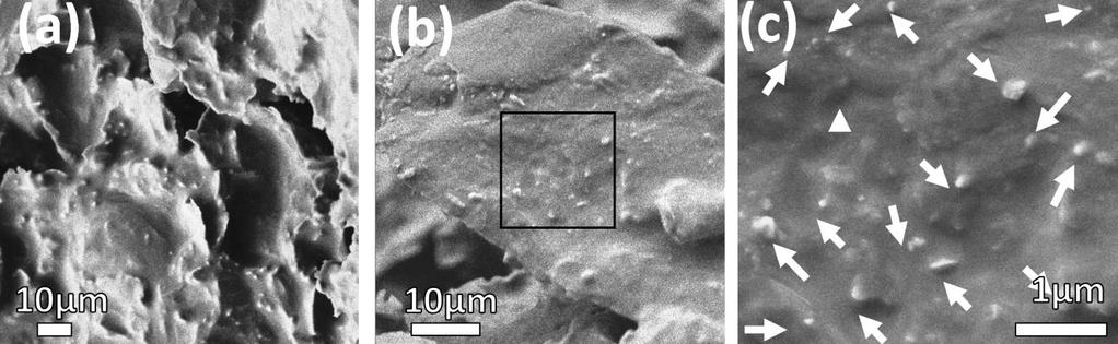 Figure S6: SEM micrographs of fractured Hybrid 1 surface. (a-b) composite loaded with with φ M15 = 0.15 and φ BN = 0.