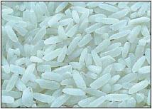 But, can we biofortify rice