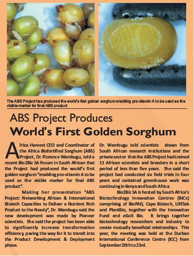 First successful nutritional improvement in sorghum was
