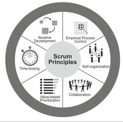 SCRUM PRINCIPLES 1. Empirical Process Control -Transparency, Inspection and Adaptation 1. Self-organization = "servant leadership 2. Collaboration 4.