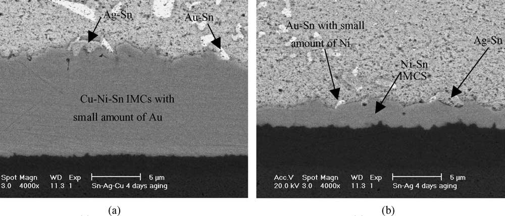 A.Sharif et al./ Materials Science and Engineering B 113 (2004) 184 189 187 Fig. 7. SEM micrographs showing the interface after aging for 4 days at 190 C of (a) Sn Ag Cu and (b) Sn Ag solder.