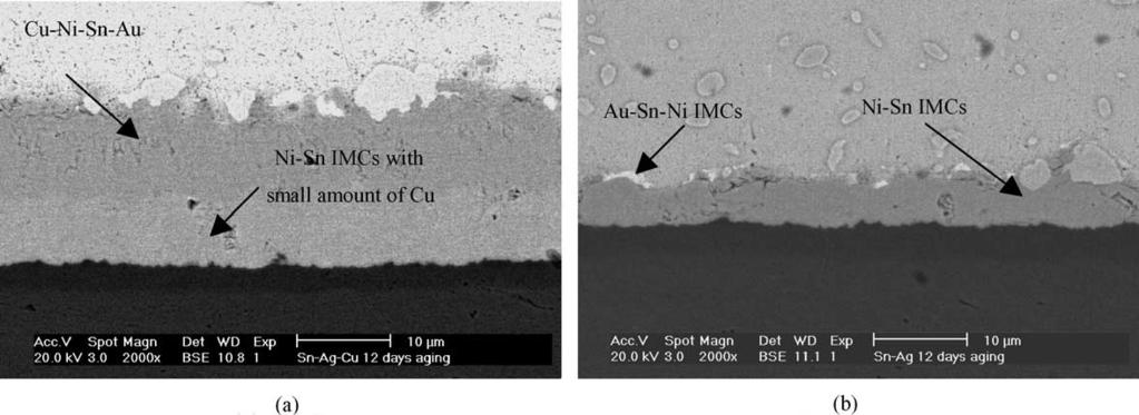 188 A.Sharif et al./ Materials Science and Engineering B 113 (2004) 184 189 Fig. 9. SEM micrographs showing the interface after aging for 12 days at 190 C of (a) Sn Ag Cu and (b) Sn Ag solder.