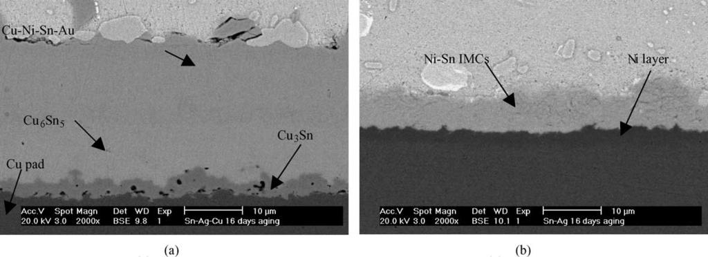 A.Sharif et al./ Materials Science and Engineering B 113 (2004) 184 189 189 Fig. 10. SEM micrographs showing the interface after aging for 16 days at 190 C of (a) Sn Ag Cu and (b) Sn Ag solder.