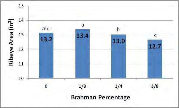 Effect of Brahman