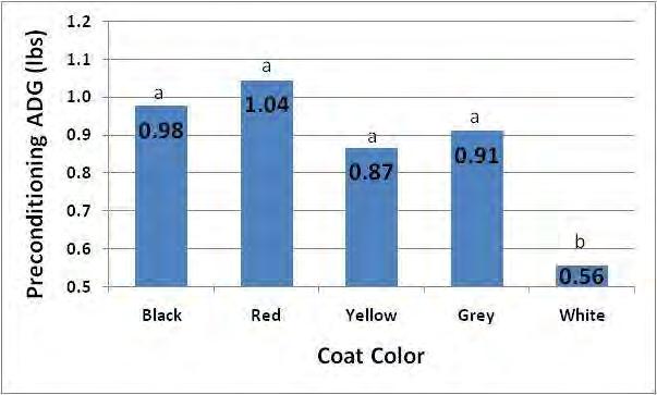 Effect of Coat Color on