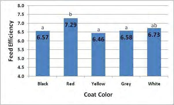 Effect of Coat Color