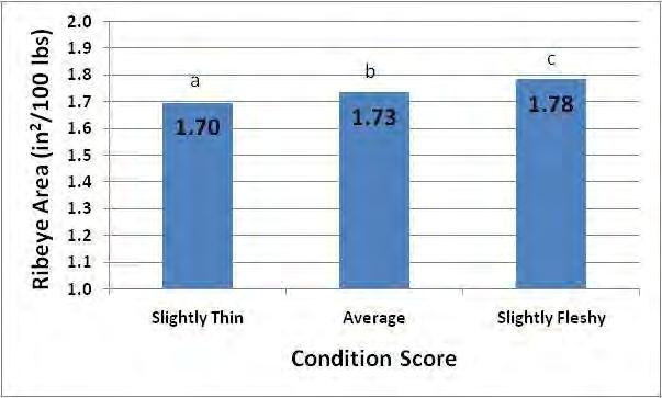 Effect of Condition Score