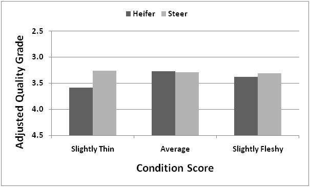 Effect of Condition Score on Quality Grade a b a
