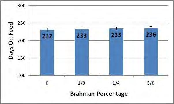Effect of Brahman