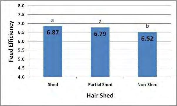 Effect of Hair Shedding