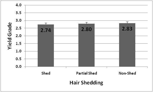 Effect of Hair Shed