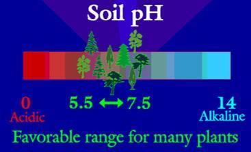 Reduced nutrient availability Low ph values: Reduced nutrient availability Toxic