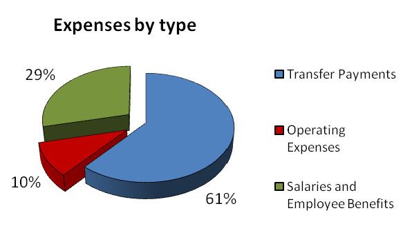 Total forecasted expenses differ from planned spending presented earlier in this document as projected expenses include accruals such as amortization, severance and vacation pay, liability