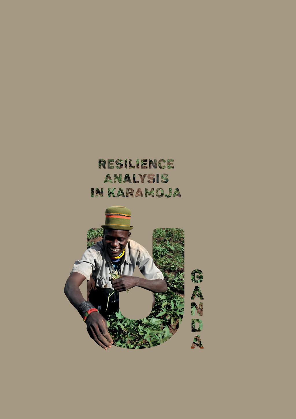 AnalysIng Resilience for better targeting and action FAO resilience