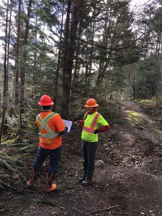 TimberWest Forest Corporation 2017 SFI Forest Management Re-certification Audit page 7 Opportunities for Improvement The 2017 TimberWest SFI forest management re-certification audit identified a