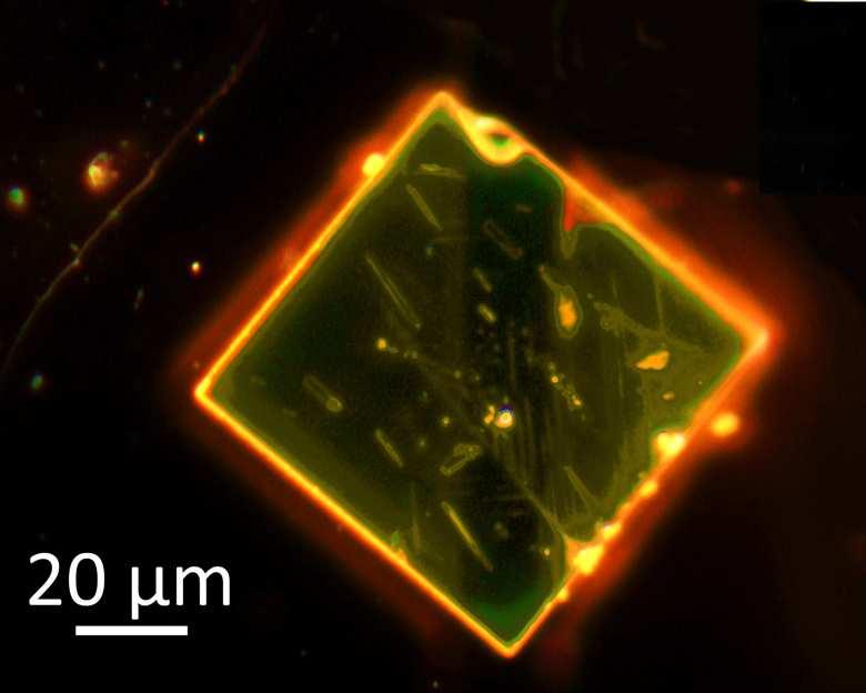 Dark field optical image of FETs corresponding to Figure 2b.
