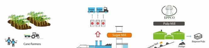 KTIS More Than Sugar Domestic consumption is