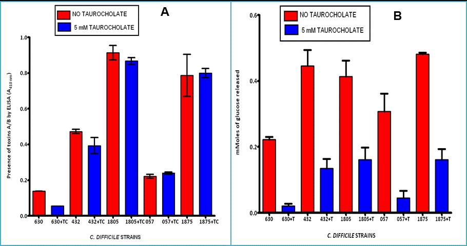 Figure 4.4: Effect of taurocholate on C. difficile toxin production (A) and activity (B). Overnight cultures (O.D. 600 nm = 1.4) of each strain of C.
