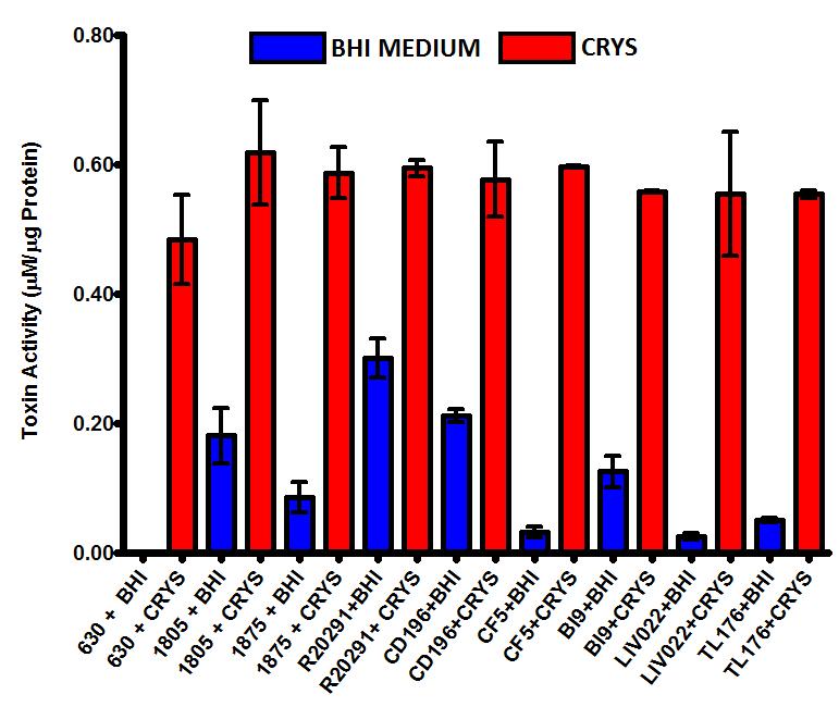 Figure 5.14: Effect of the partially purified toxin-inducing activity on epidemic hypervirulent and non-epidemic strains of C. difficile.