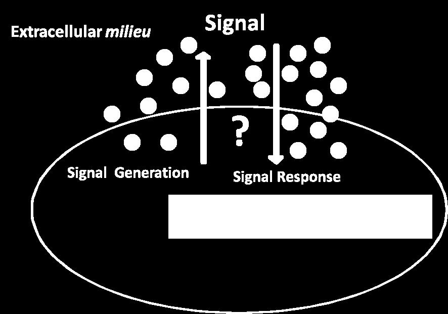difficile growth via a signal-generation pathway that accumulates in the extracellular milieu.