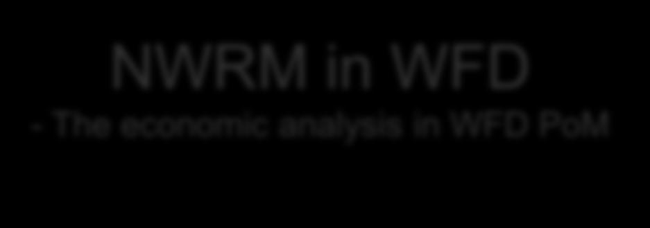 NWRM in WFD - The economic analysis in WFD PoM CostEfficiencyAnalysis (CEA) The cheapest measure, or bundle of measures,