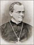 The beginnings of Genetics Gregor Mendel When and where did he live?