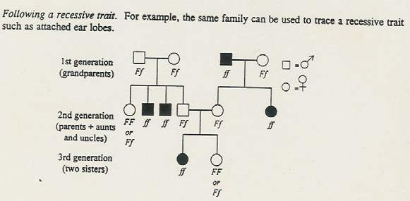 that shows the inheritance pattern of a particular phenotypic