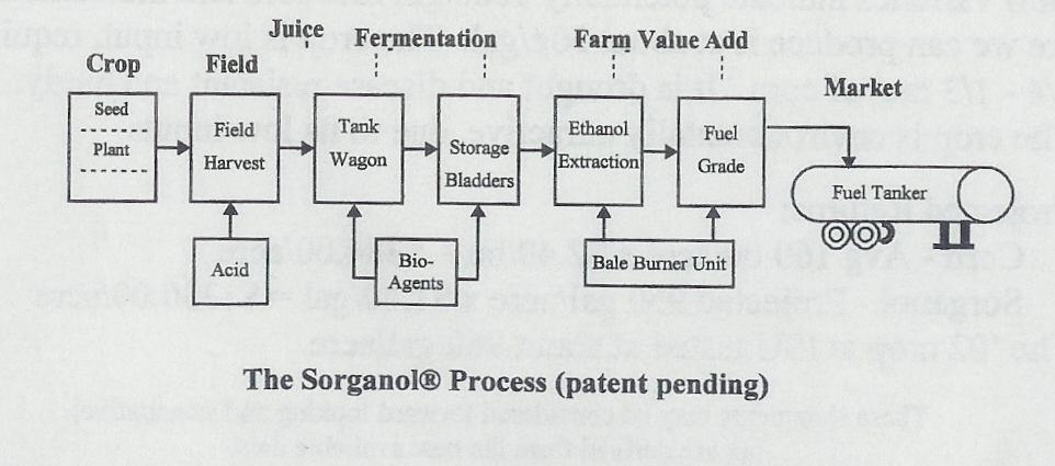SORGANOL PROCESS FLOWCHART BACKGROUND ON SWEET SORGHUM Nearly all of the present Sweet Sorghum growers harvest their crop by hand and utilize the juice in making sorghum syrup.