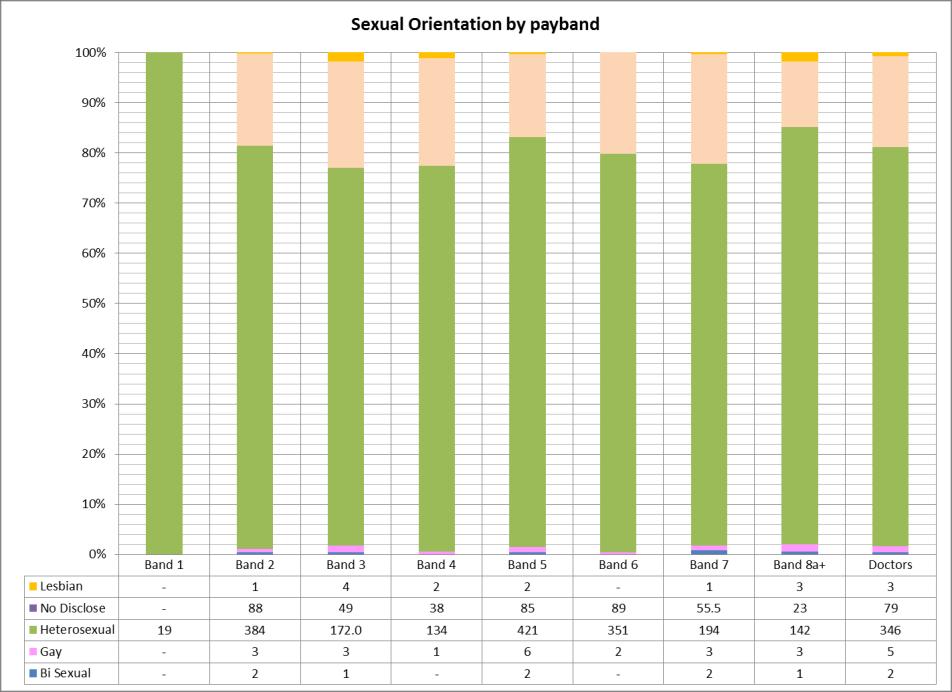 The chart above show sexual orientation by pay band. The majority of the pay bands record employees declaring for every category.
