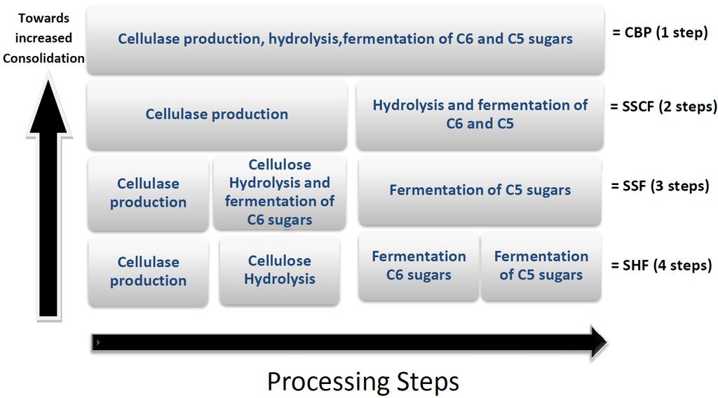 15 Figure 1.3 Evolution of biomass processing strategies featuring enzymatic hydrolysis.