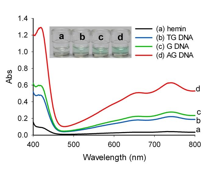 Fig. S4 UV-vis absorption spectra of DNAzyme samples generated by TdT with different dntp substrate content: (a) hemin only; (b) TG DNA (40% datp and 60% dgtp) ; (c) G DNA (dgtp