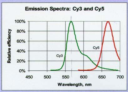 19,990 22,899 2 dyes with well separated emission spectra allow
