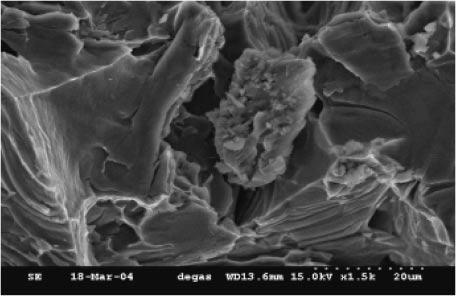 264 T.-S. Shih and K.-Y. Wen Fig. 2 SEM micrograph showing an oxide particle entrapped in the pore. the melt and the poured casting as well.