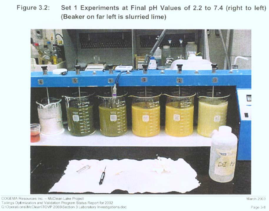 Laboratory Investigations Laboratory and Theoretical Test Work was performed on the, chemistry of neutralized raffinate solutions mineralogy of precipitated solids geochemical modeling of the