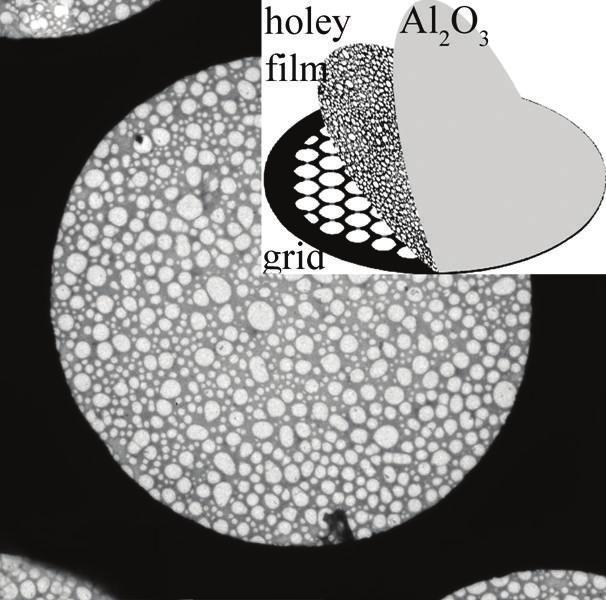 2 Journal of Nanotechnology AI2 O3 Intensity (a.u.) Film C Cu 0.5 Grid 50 μm Al O Holey 1.0 1.5 Energy (kev) 10 μm (a) 0.