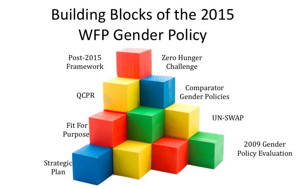 Figure 1: Building blocks for the new gender policy Strategic Plan Post-2015 framework QCPR Fit For Purpose Zero Hunger Challenge Comparator gender policies UN SWAP 2009 gender policy evaluation UN
