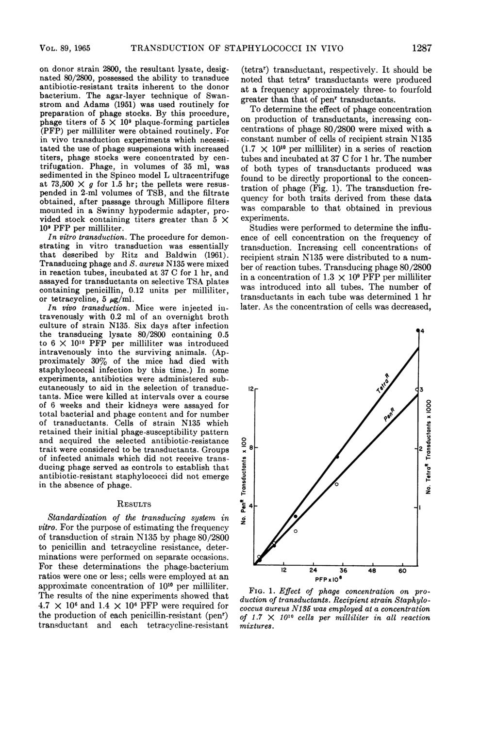 VO L. 89, 1965 TRANSDUCTION OF STAPHYLOCOCCI IN VIVO 1287 on donor strain 28, the resultant lysate, designated 8/28, possessed the ability to transduce antibiotic-resistant traits inherent to the