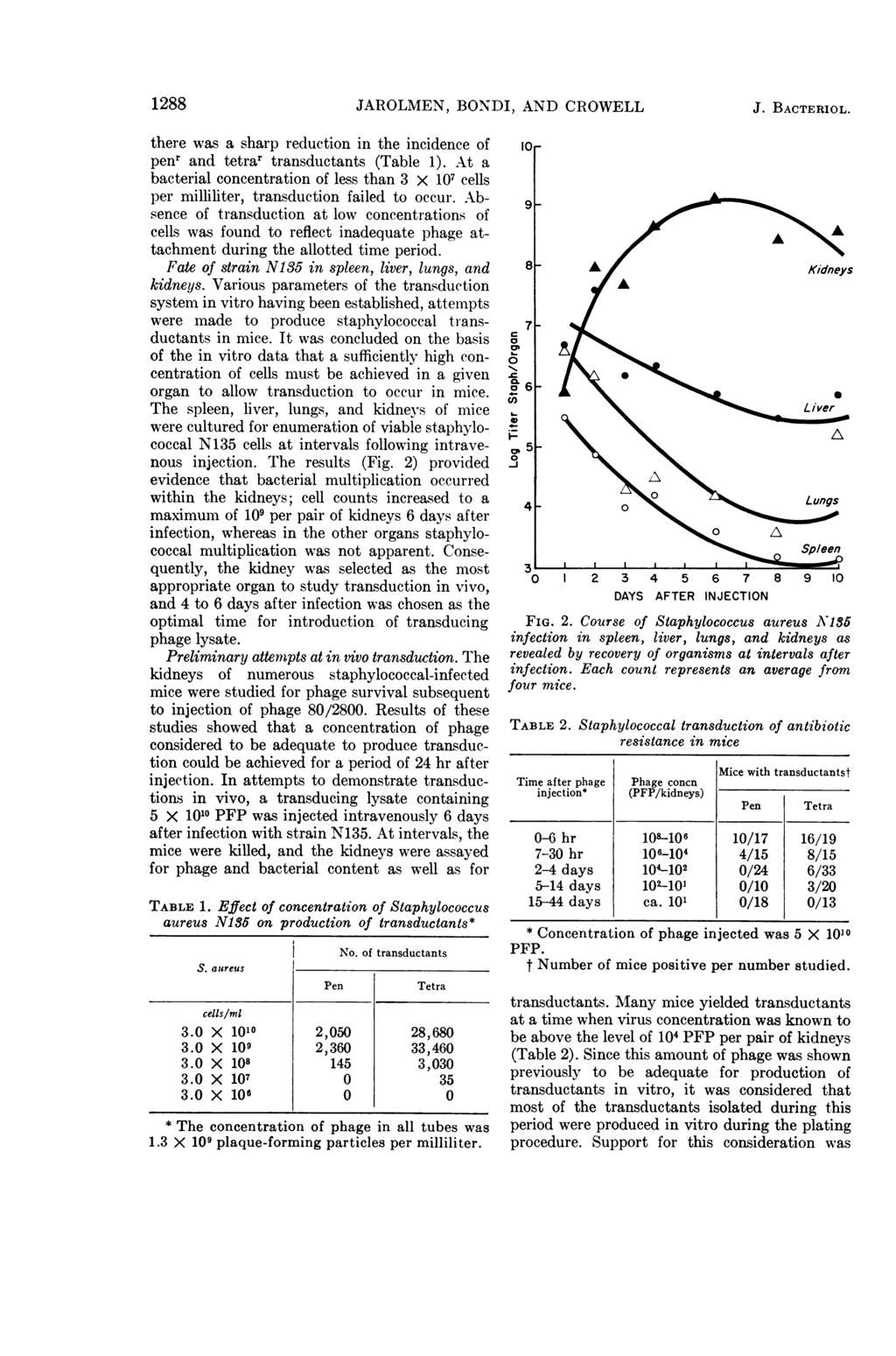 1288 JAROLMEN, BONDI, AND CROWELL J. BACTERIOL. there was a sharp reduction in the incidence of penr and tetrar transductants (Table 1).
