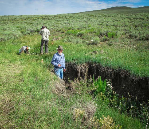 1. CRITICAL WILDLIFE HABITAT Wet meadows and riparian areas occupy a small proportion of the sagebrush ecosystem in the Gunnison Basin, yet provide critically important habitat for many species.
