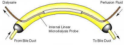 Microdialysis probes Concentric probe Dialysate Perfusion fluid