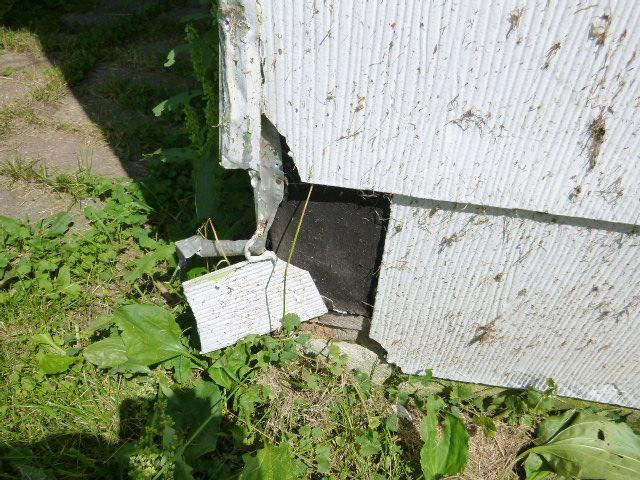 stairs EXTERIOR WALLS The siding is deteriorated and loose in