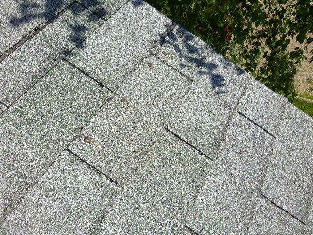 Property address _ ROOF & GUTTERS The roof coverings (shingles) are