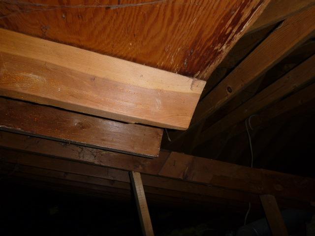 Cut rafters need support Damaged roof decking Damaged fascia Damaged soddits and