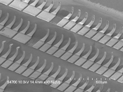 (c) Chip was bonded by applying epoxy. Fig. 5. SEM image of the CMIs with the platform-like tip (left) and blunt tip (right). Fig. 8.