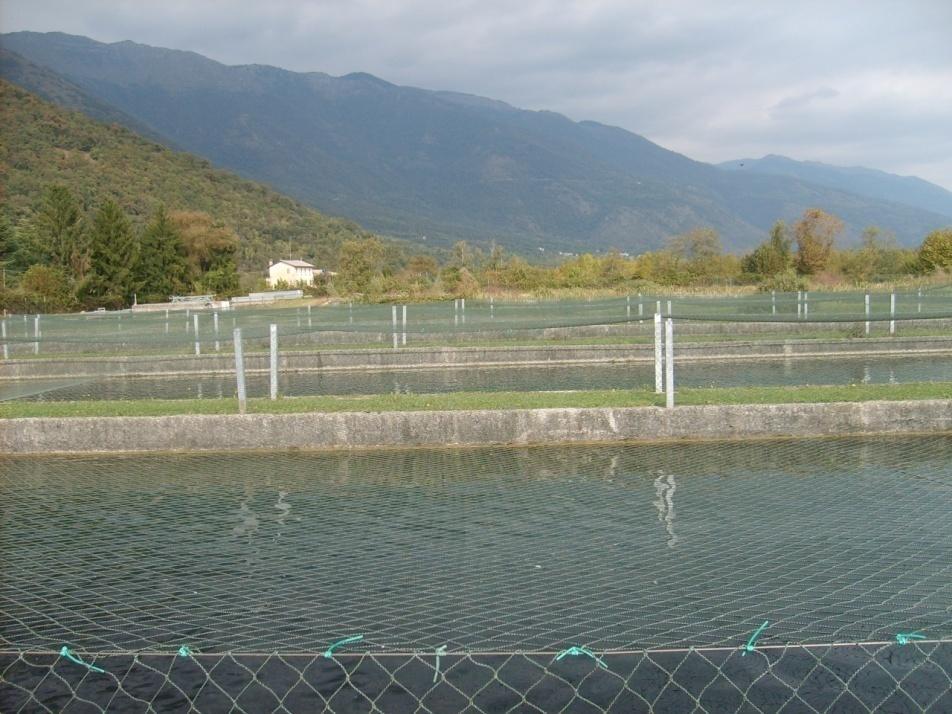 Goal of the Aquaculture Dialogues Create measurable standards for
