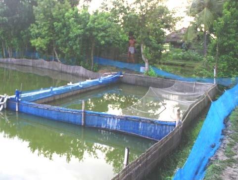 Activity Performed Pre Stocking (crab & tilapia) Management of Research Plot Pre