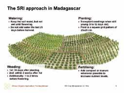 The SRI approach in Madagascar of pulling up individual weeds by hand once they emerge. > > Adding compost or manure whenever possible to add nutrients to the field.